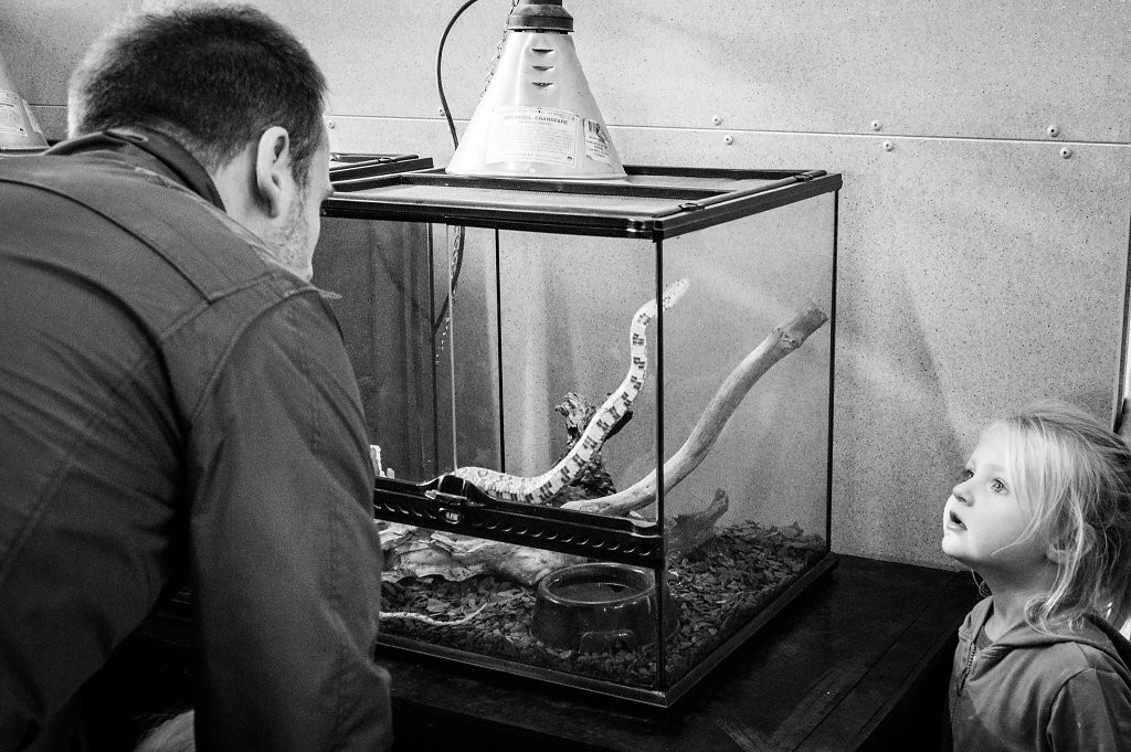 Åbent Landbrug 2016