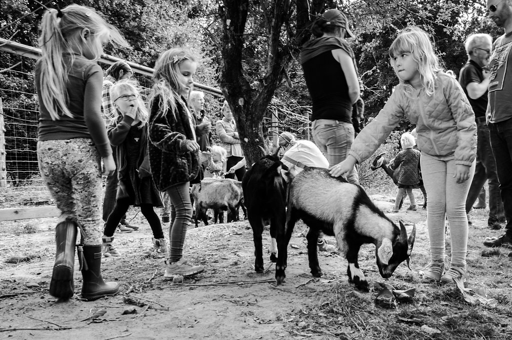 Åbent Landbrug 2016