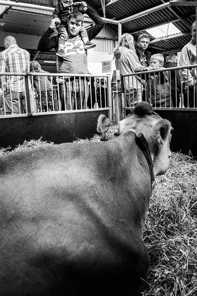 Åbent Landbrug 2016
