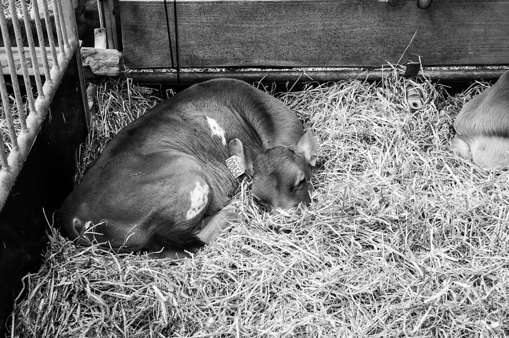 Åbent Landbrug 2016