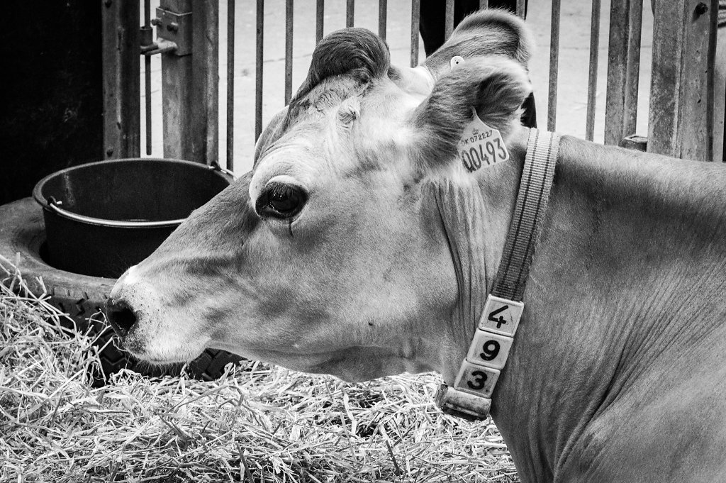 Åbent Landbrug 2016