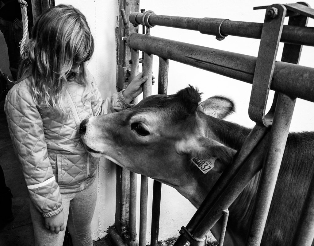 Åbent Landbrug 2016